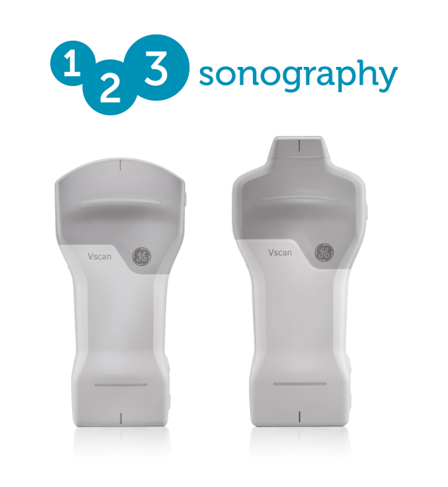 Vscan Air IB Offering Vscan Air IB Offering